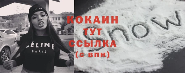 шишки Аркадак