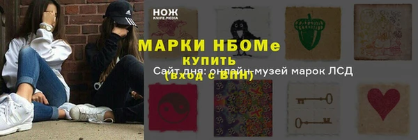 шишки Аркадак