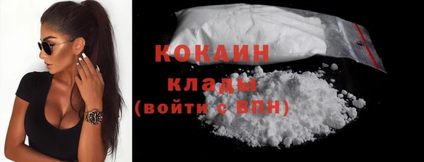 шишки Аркадак