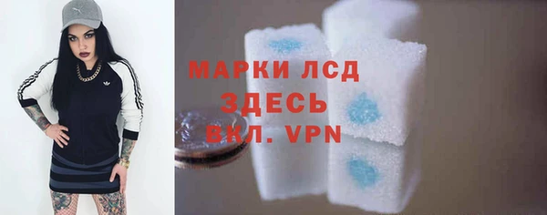 шишки Аркадак