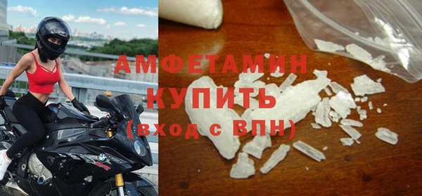 шишки Аркадак