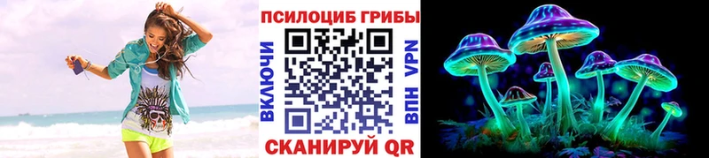 Псилоцибиновые грибы Cubensis  Омск 