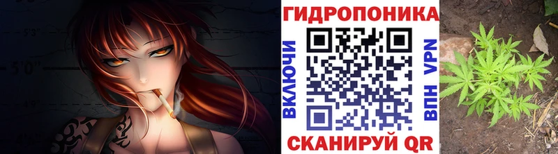 Каннабис сатива  hydra ТОР  Омск 